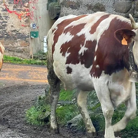 L'ostalou Séjour à la campagne *