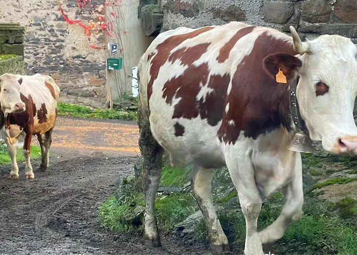 L'ostalou Séjour à la campagne *